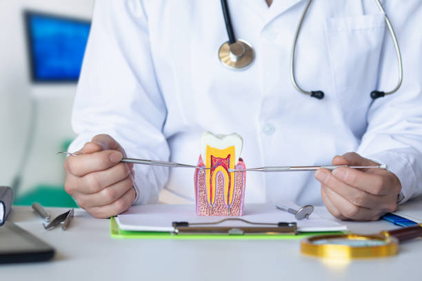Best Emergency Cosmetic Dentistry in Fort Recovery, OH